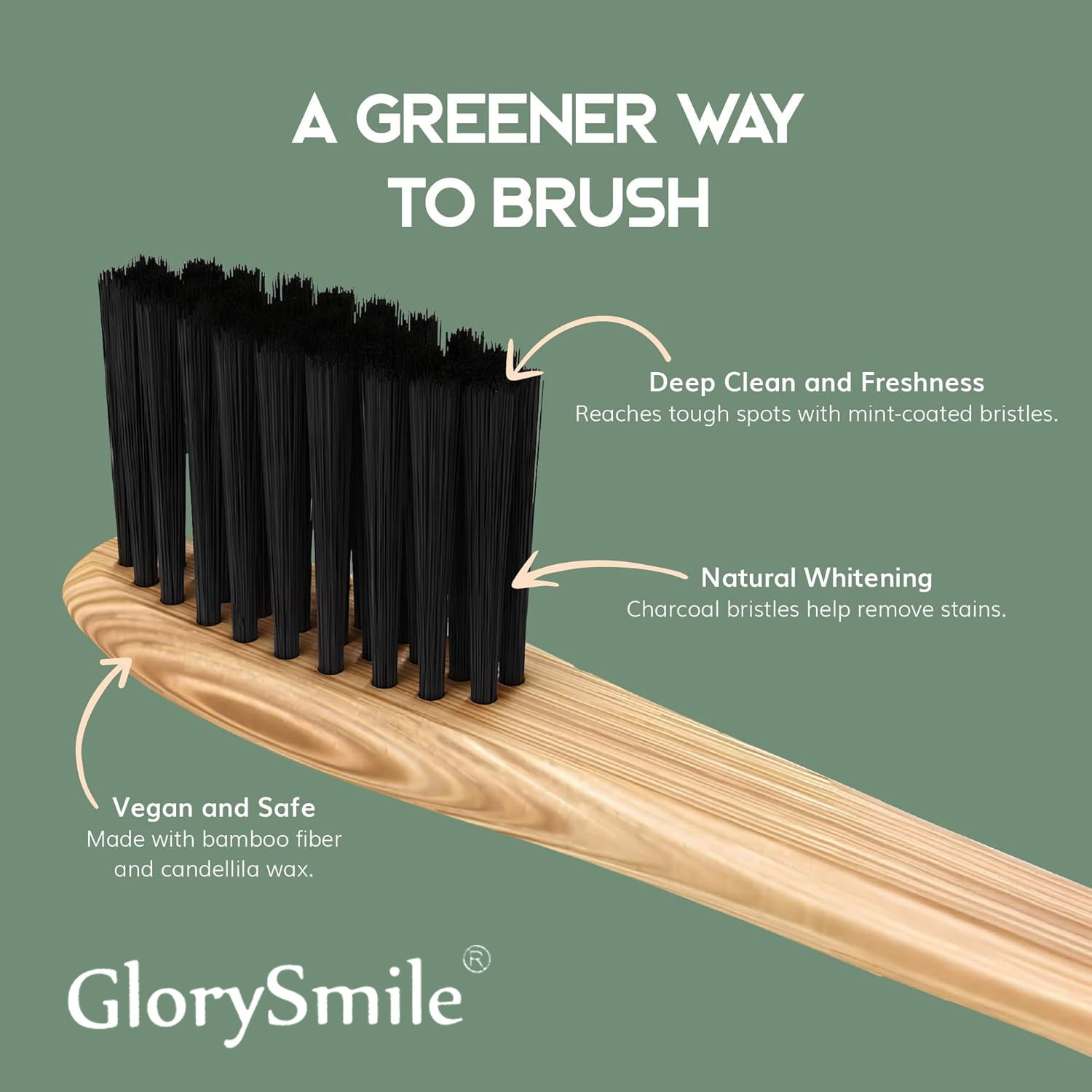 Bamboo Toothbrushes for Adults - Bamboo Toothbrush ulasan dan harga